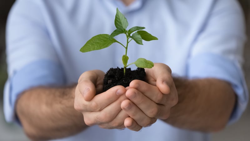 desarrollo_sostenible_4