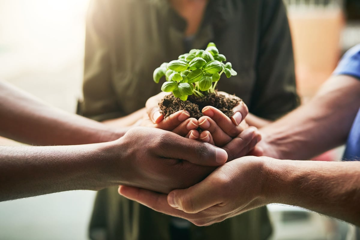 desarrollo_sostenible_5