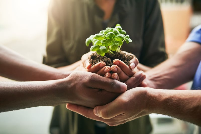 desarrollo_sostenible_5