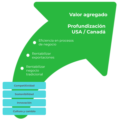 MASISA_Valor agregado + profundización USA_Canadá (1)